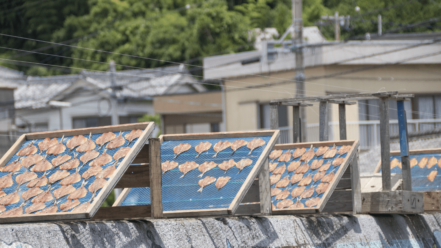 水産加工 M&A(FV)